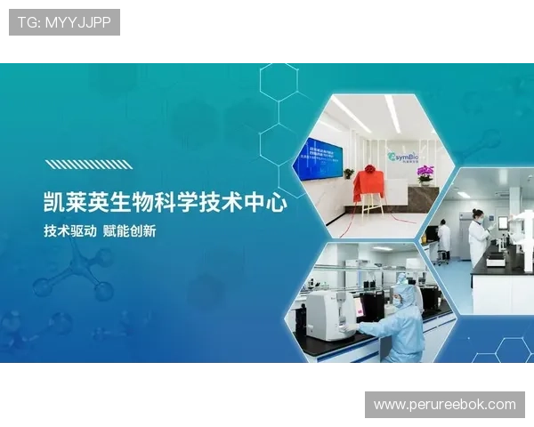 优德88体育用户注册流程与账号安全保障措施全方位解析