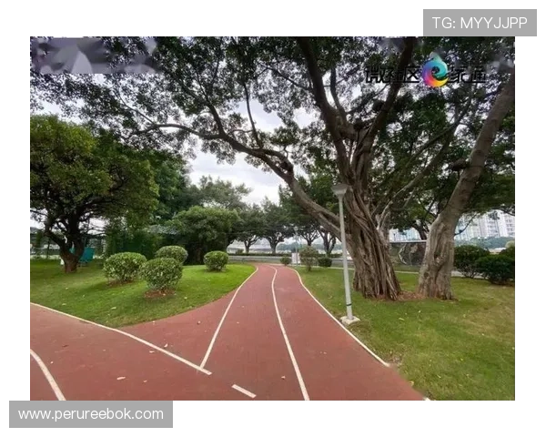 开运体育电脑版支持多种运动项目，满足不同用户的运动需求