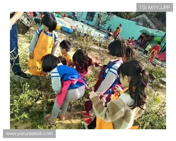 凯威体育会员注册流程详解帮助用户快速完成注册步骤